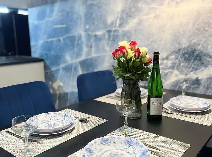 Ho!house Ksiecia Witolda Apartment